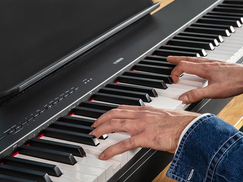 P-225 - Descrição - Série P - Produtos - Pianos - Yamaha - Brasil