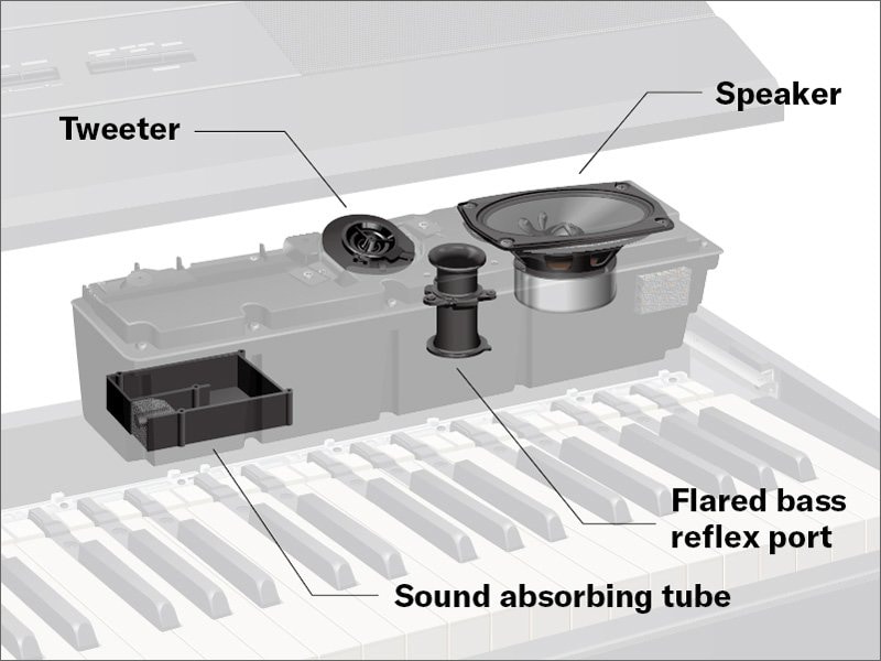 An illustration showing the inside of speaker box