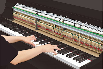 1. Mecanismo com toque aprimorado e novos pedais oferecem uma sensação ainda mais realista de piano de cauda acústico