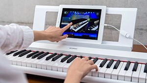 NP-12 - Características - Teclados Portáteis - Produtos - Teclados
