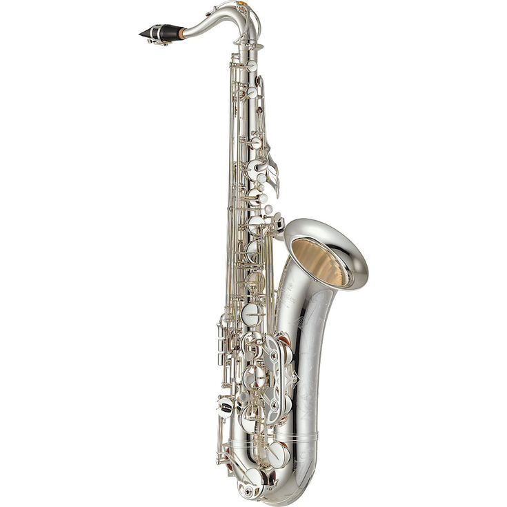 Yamaha Saxophone YTS-82ZS