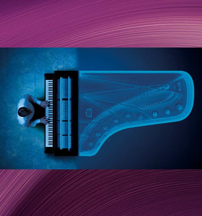 Photo The Best of Both Worlds