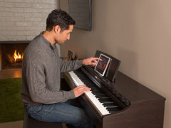 YDP-163 - Descrição - ARIUS - Produtos - Pianos - Yamaha - Brasil