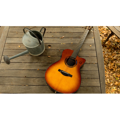 TAS3 C acoustic guitar placed on a wooden deck next to a watering can.