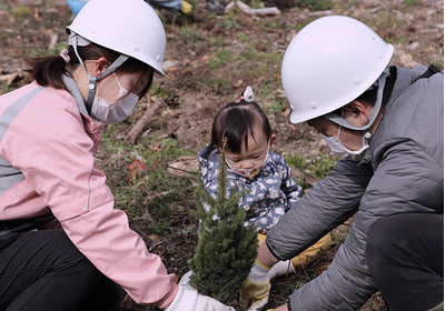 The oto-no-mori initiative for creating sustainable forests image