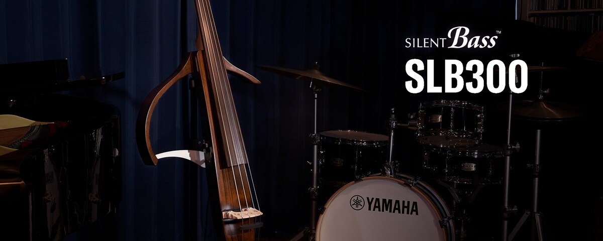 SLB300/SLB300PRO - Descrição - Violinos SILENT™ SERIES - Produtos