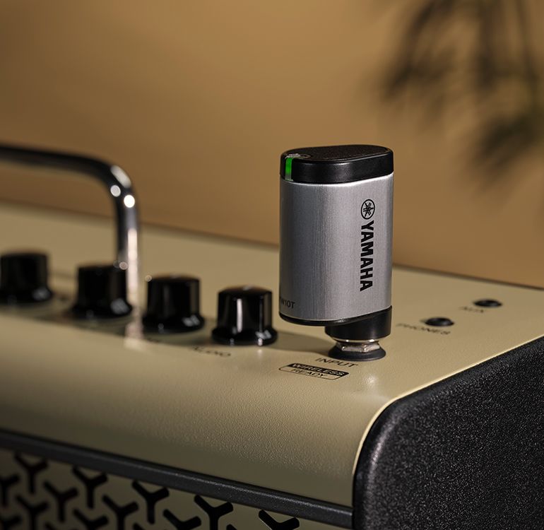 YW10T - Descrição - Amps & Acessórios - Violões, Guitarras, Baixos