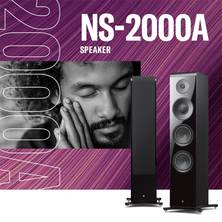 NS-2000A - Descrição - Sistemas de Caixas Acústicas - Produtos