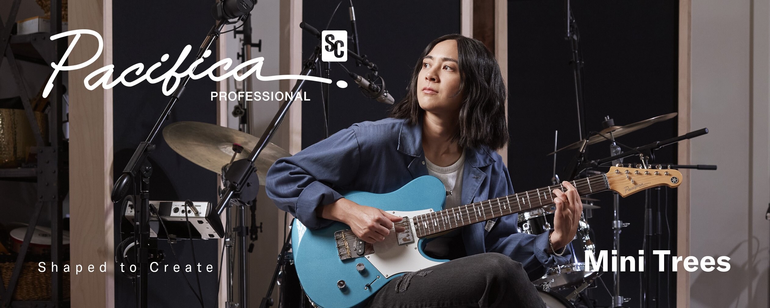 Pacifica SC Professional (PACP11S BMB) segurada por MINI TREES