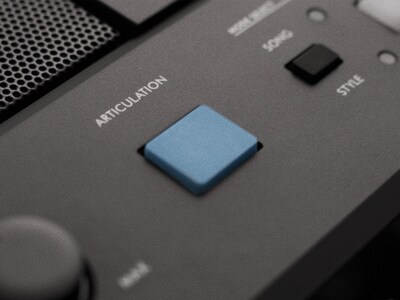 Imagem de recurso do Botão ARTICULATION do PSR-E483