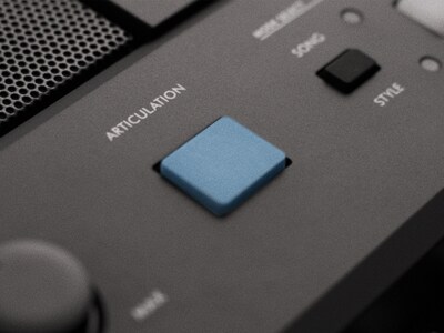 Imagem de recurso do Botão ARTICULATION do PSR-E483