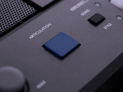 Imagem de recurso do Botão ARTICULATION do PSR-E583