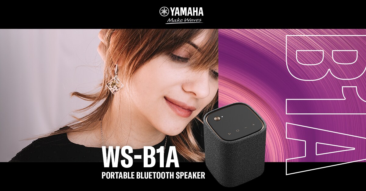 WS-B1A - Descrição - Caixas acústicas sem fio - Produtos - Áudio
