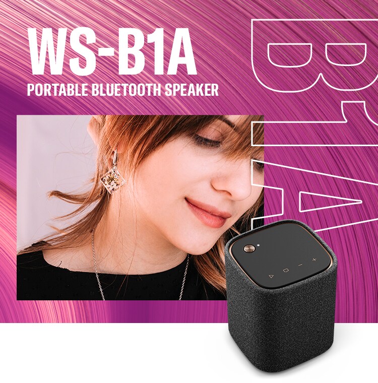 WS-B1A - Descrição - Caixas acústicas sem fio - Produtos - Áudio
