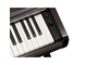 YDP-146_Jacarandá escuro_teclado_direita
