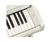YDP-166_Bétula branca_teclado_direita