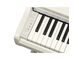 YDP-166_Bétula branca_teclado_esquerda