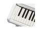 YDP-166_Branco_teclado_esquerda