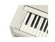 YDP-S36_Bétula branca_teclado_esquerda