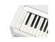 YDP-S36_Branco_teclado_esquerda