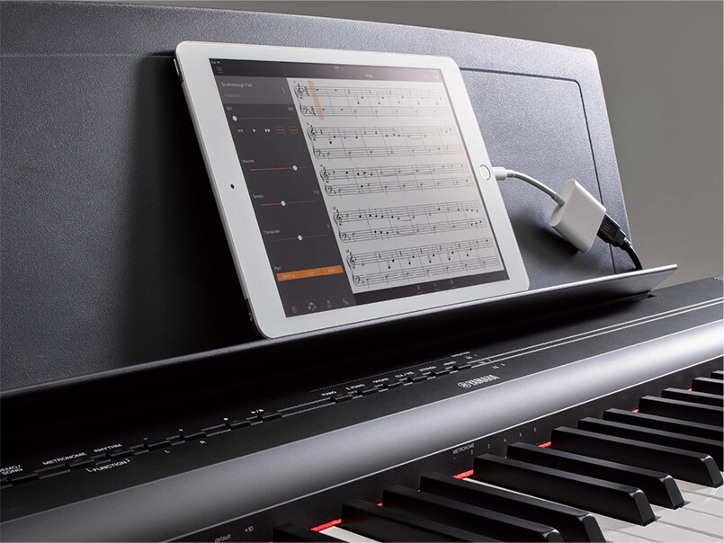 P-125 - Descrição - Série P - Produtos - Pianos - Yamaha - Brasil
