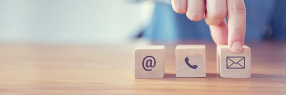 Link da imagem para o formulário de consulta