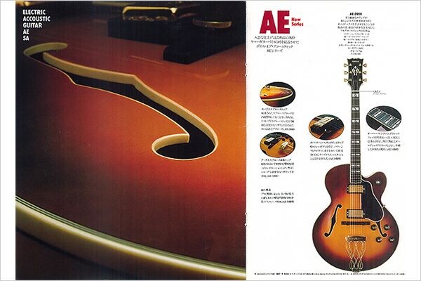 AE-2000: o modelo de destaque para guitarras semi-acústicas